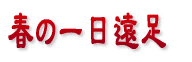 ẗ