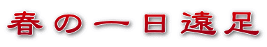 ẗ 
