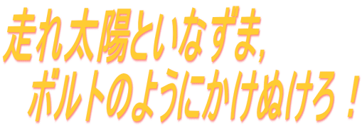 ꑾzƂȂ܁C @{ĝ悤ɂʂI